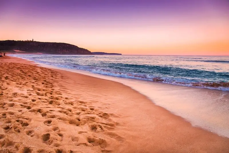 golden sandy beach at sunset in Palm Beach NSW Australia with purple and orange skies