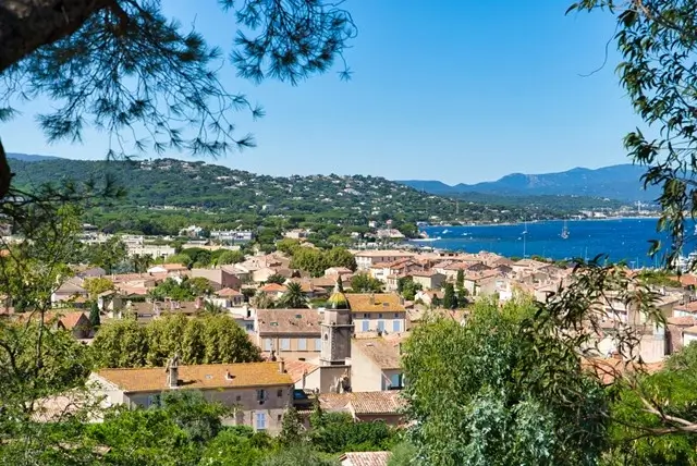 Elevated hillside view over St. Tropez rooftops, bay, and surrounding hills framed by pine trees