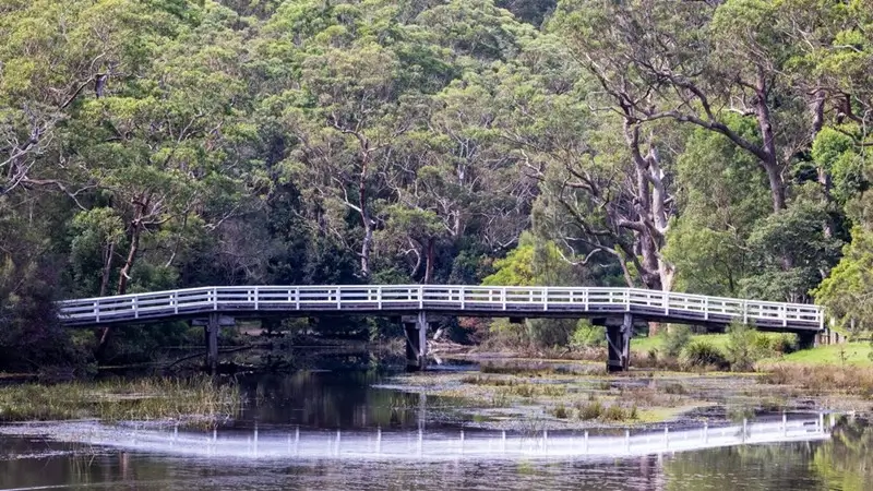 wooden bridge over Hacking River surrounded by dense bushland in Royal National Park New South Wales