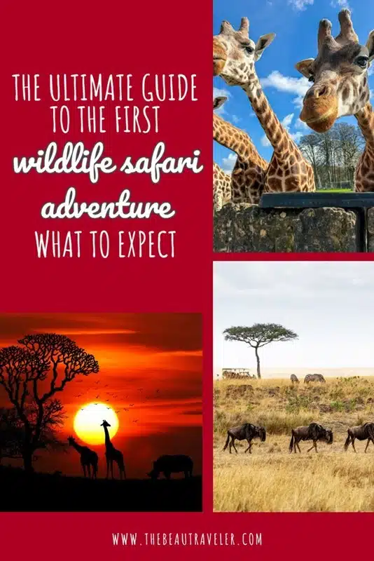 The Ultimate Wildlife Safari Vacation: Why It's the Most Unforgettable Trip You'll Ever Take - The BeauTraveler
