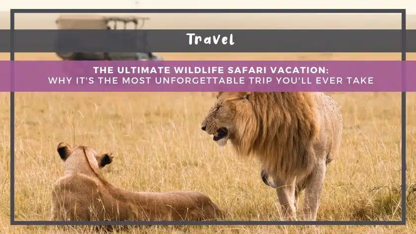 The Ultimate Wildlife Safari Vacation: Why It's the Most Unforgettable Trip You'll Ever Take