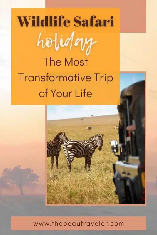 The Ultimate Wildlife Safari Vacation: Why It's the Most Unforgettable Trip You'll Ever Take - The BeauTraveler