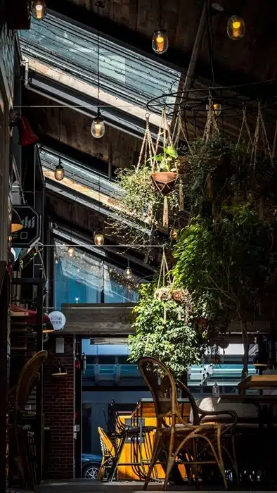 Cozy café kitchen in New Zealand with hanging plants, Edison bulb lighting, and wooden chairs in an industrial-style dining space