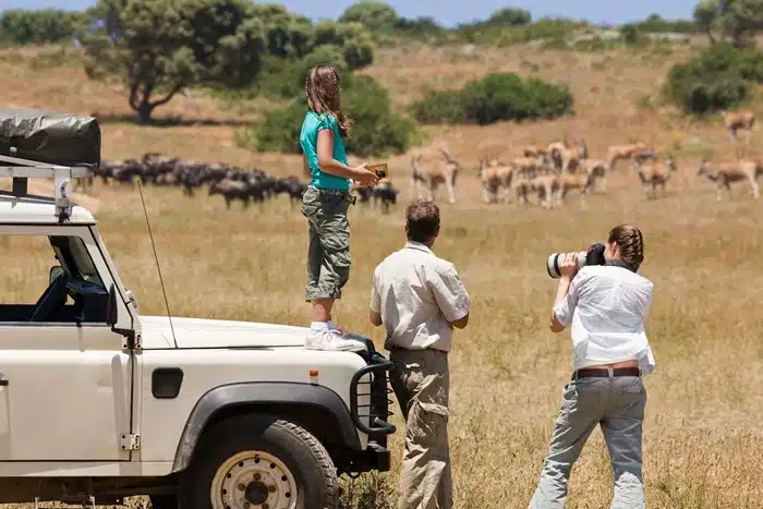 family on a wildlife safari vacation photographing a herd of wildebeest and antelope on the open savanna