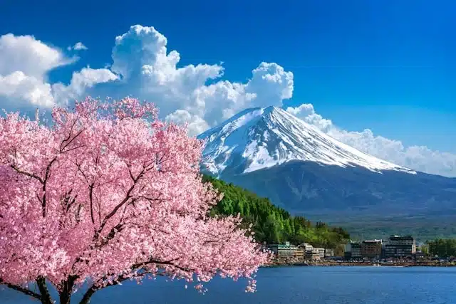 flexible travel in Japan during cherry blossom season with Mount Fuji and a lake in the background