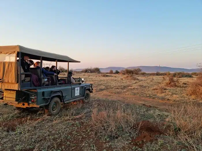 guided safari game drive at sunset across a dry African savanna landscape