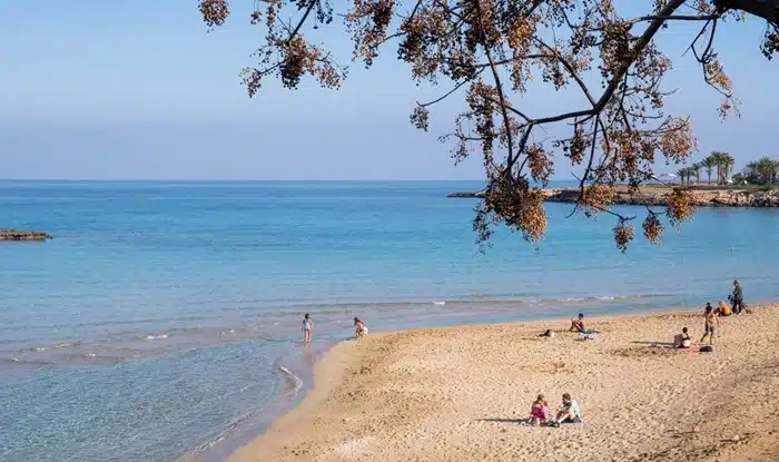 Tourists sunbathing on a quiet sandy beach in Protaras on a clear sunny day