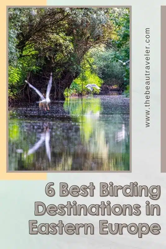 The Best Kept Secret Birding Destinations in Eastern Europe (& Why You Should Visit) - The BeauTraveler