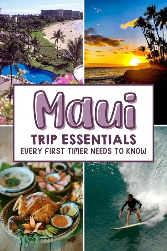 The Ultimate Guide to Things to Do in Maui for First Timers - The BeauTraveler