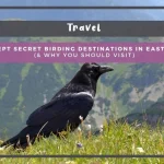 The Best Kept Secret Birding Destinations in Eastern Europe (& Why You Should Visit) The Best Kept Secret Birding Destinations in Eastern Europe (& Why You Should Visit)