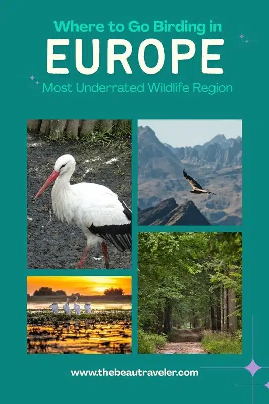 The Best Kept Secret Birding Destinations in Eastern Europe (& Why You Should Visit) - The BeauTraveler