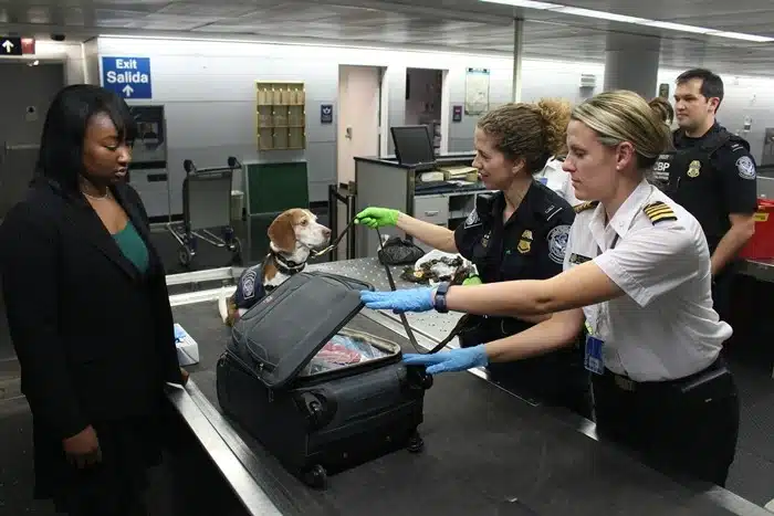 CBP officers and a sniffer dog inspecting a traveler's luggage at airport customs