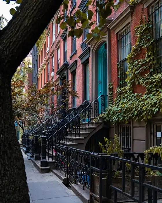 Row of brownstone houses with ivy-covered facades and front porch steps in New York