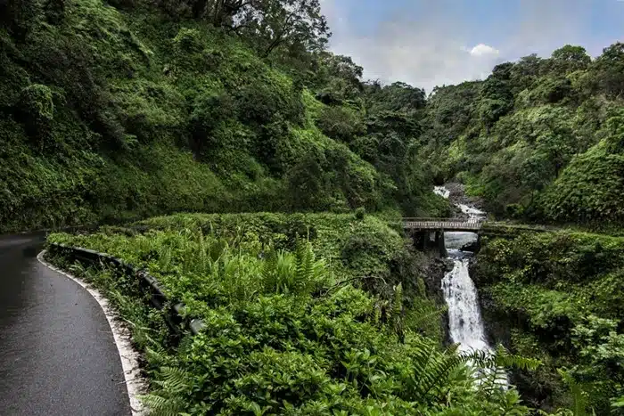 Winding Road to Hana in Maui Hawaii lined with dense rainforest and a waterfall cascading under a narrow bridge