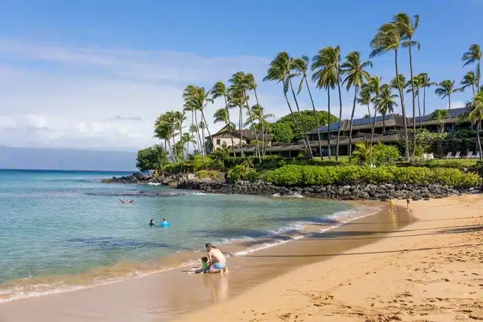 Travelers enjoying a sandy tropical beach in Maui HI with calm turquoise water and swaying palm trees