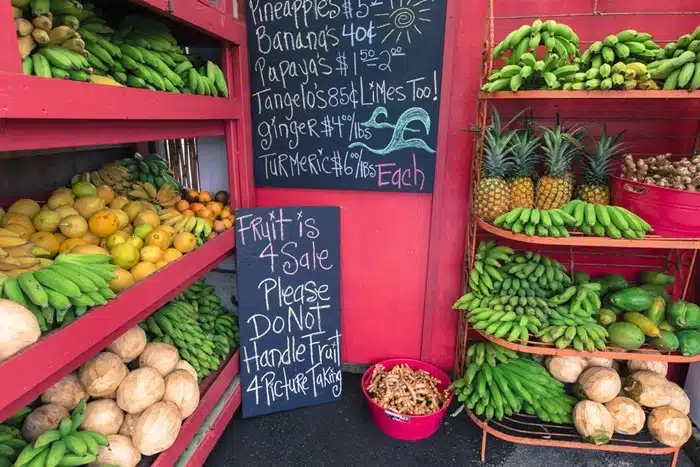 Tropical fruits including pineapples, bananas, and papayas displayed at a colorful roadside stand in Maui