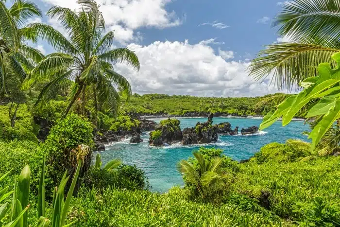 Waianapanapa black sand beach cove in Maui HI surrounded by lush tropical greenery and turquoise coastal waters