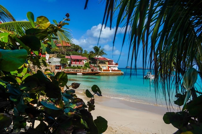 Palm-framed view of a turquoise cove and hillside villas, capturing the essence of St Barts island travel