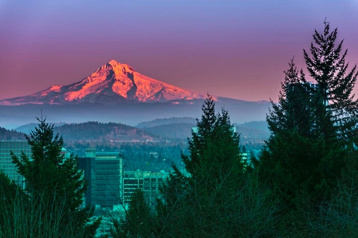 Mount Hood glowing at sunset above the Portland, Oregon skyline, a scenic view near the city