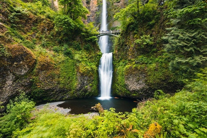 Multnomah Falls in the Columbia River Gorge, a scenic day trip from Portland, Oregon