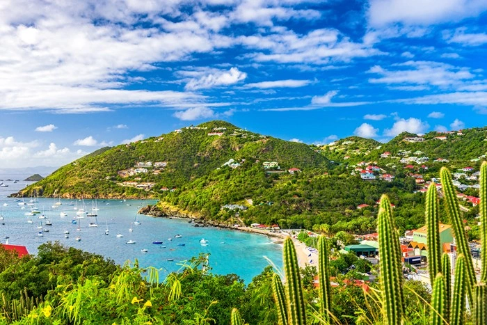 Lush hillside overlooking a turquoise bay dotted with sailboats, a scenic corner of St Barts island