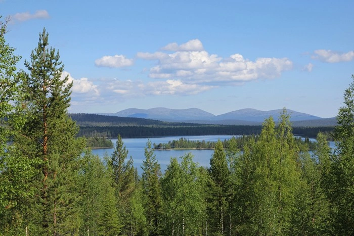 Summer in Finland lake view surrounded by pine forest and distant hills under a blue sky