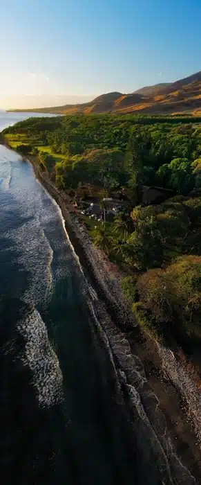 Aerial view of Maui's coastline with golden hills and lush greenery