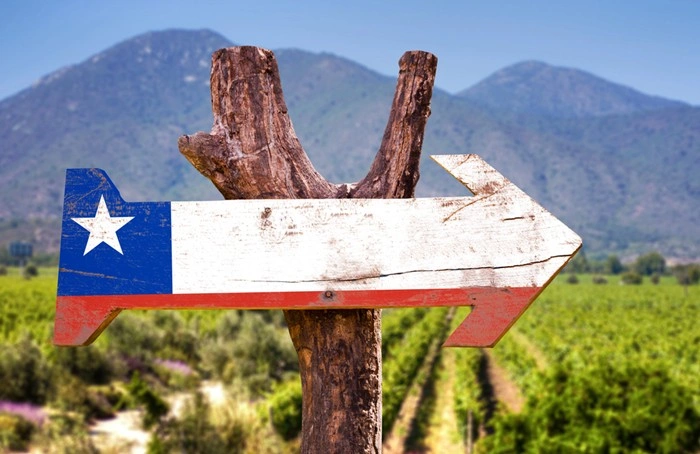 Wooden arrow sign painted with the Chilean flag, pointing toward vineyards and mountains in Chile's countryside
