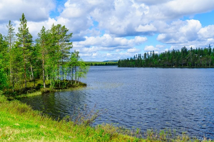 View of Lower Posiolampi lake surrounded by pine trees under a cloudy blue sky