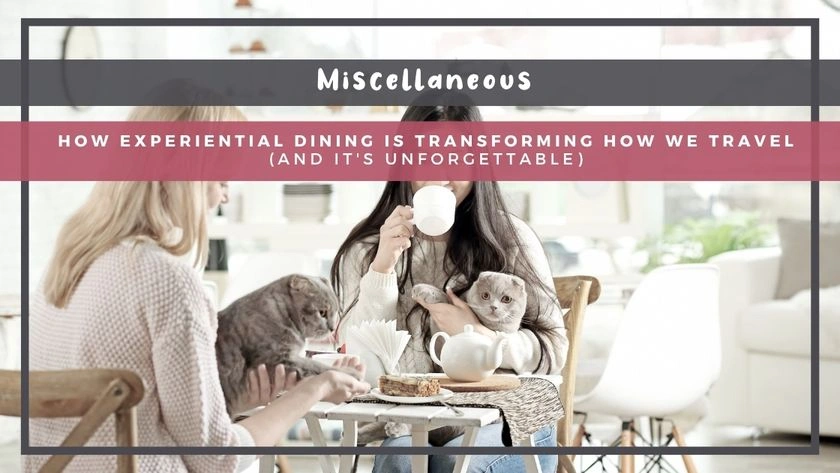 How Experiential Dining Is Transforming How We Travel (And It's Unforgettable)