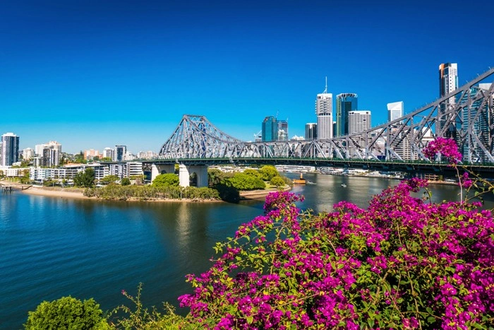 Story Bridge and Brisbane skyline framed by pink bougainvillea flowers on a sunny day