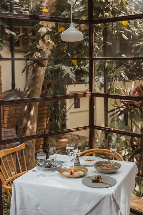 Intimate farm-to-table dinner setting surrounded by lush greenery, part of a memorable travel food journey
