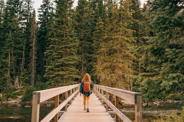 Hiker with backpack crossing a wooden bridge through a pine forest, a travel activity that benefits mind and body