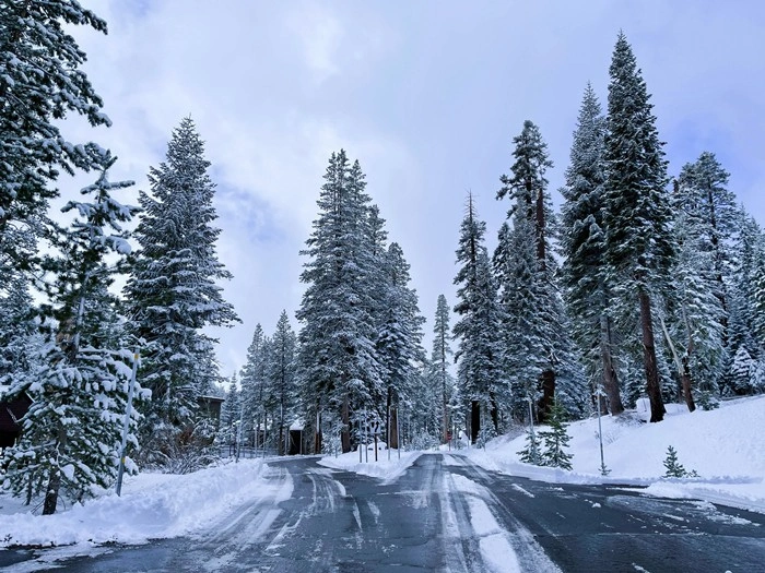 Snowy tree-lined road leading into Kirkwood Mountain Resort in winter