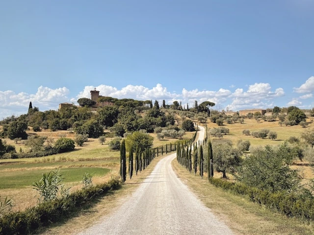 Cypress-lined gravel road leading to a hilltop village in the Tuscan countryside, ideal for a cycling tour