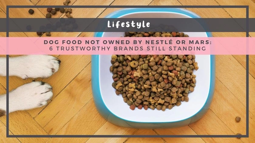 Dog Food Not Owned by Nestlé or Mars: 6 Trustworthy Brands Still Standing