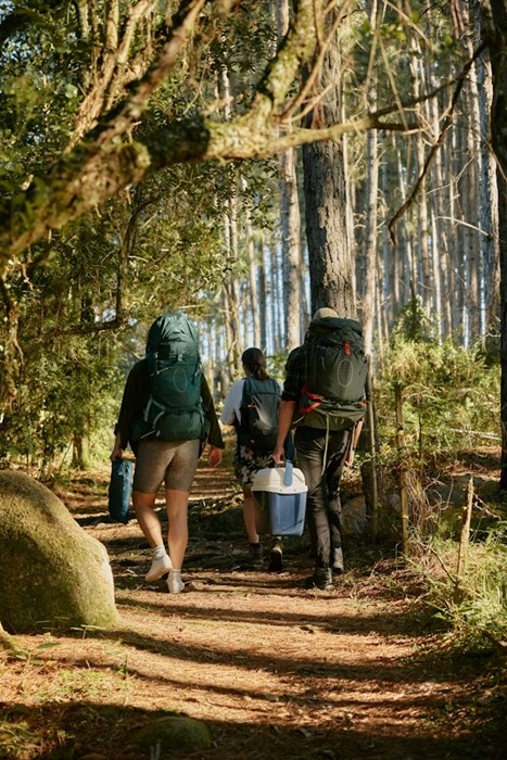 Campers hiking with backpacks and cooler through forest trail
