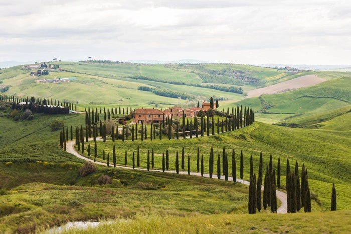 Countryside villa in Tuscany with a winding cypress-lined driveway through green rolling hills