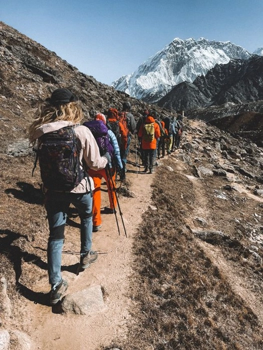 Group of Hikers Trekking Together Toward the Mountains on a Guided Tour