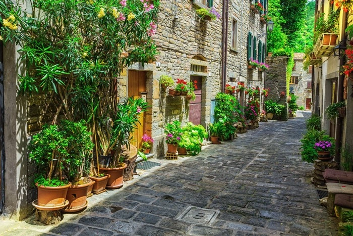 Narrow cobblestone street in Tuscany lined with potted flowers and historic stone buildings