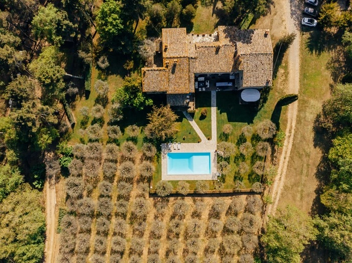 Aerial view of a rented villa in Tuscany with a private pool surrounded by olive groves