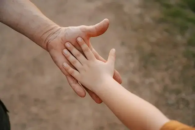 A child’s small hand resting on a parent’s open palm outdoors, symbolizing parental bonds after divorce