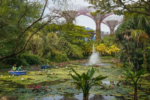 Gardeners in small boats tend a lily pond with a fountain at Gardens by the Bay in Singapore, with the Supertrees rising behind lush greenery, a peaceful spot for families to stroll in the daytime
