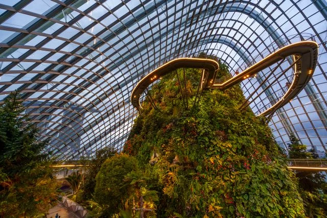 The plant-covered mountain inside Cloud Forest at Gardens by the Bay, with elevated walkways curving around it beneath the glass dome, a cool indoor stop for kids on a hot day
