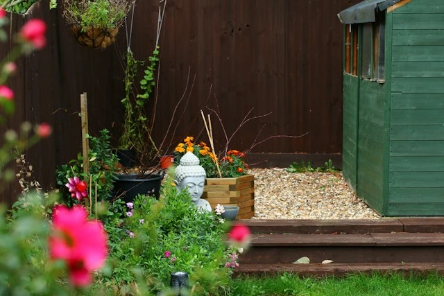 How to create a home garden with dark wooden fence panels for privacy, a gravel corner with a Buddha statue, flowering plants, and a green garden shed
