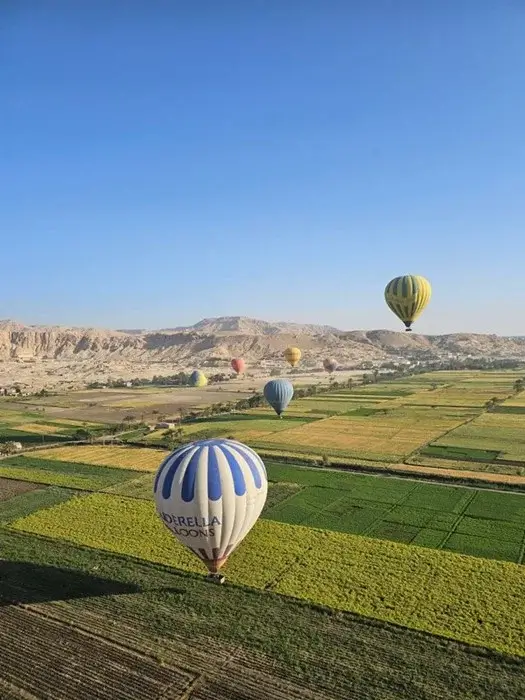 Hot air balloons floating over green farmland on Luxor’s west bank, with the desert hills of the Theban Mountains beyond