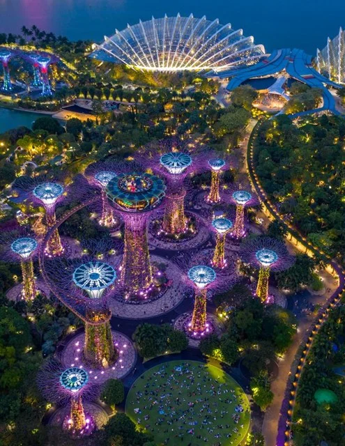 An aerial view of the illuminated Supertree Grove at night, with the glowing conservatory dome behind and crowds gathered on the lawn below, a scene families in Singapore can enjoy during Garden Rhapsody