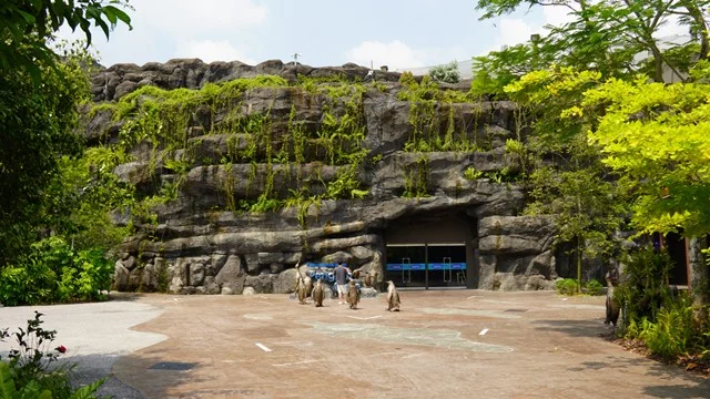 Penguin figures stand outside the rocky entrance to Penguin Cove at Bird Paradise in Singapore, an indoor habitat kids can visit to see penguins up close
