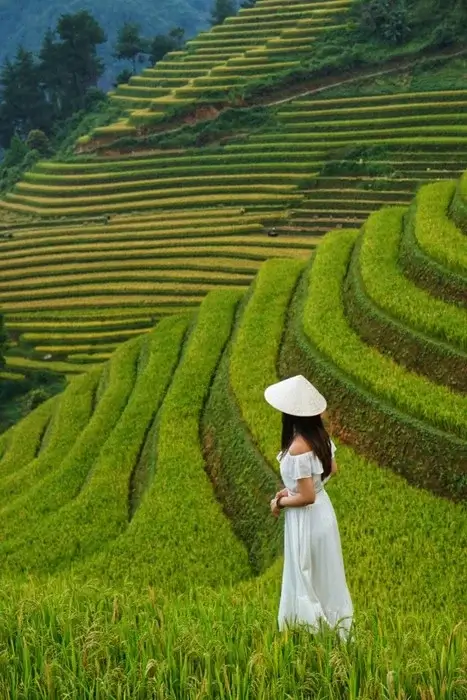 Woman in a white dress and conical hat on green rice terraces, one of the top places to visit in Vietnam