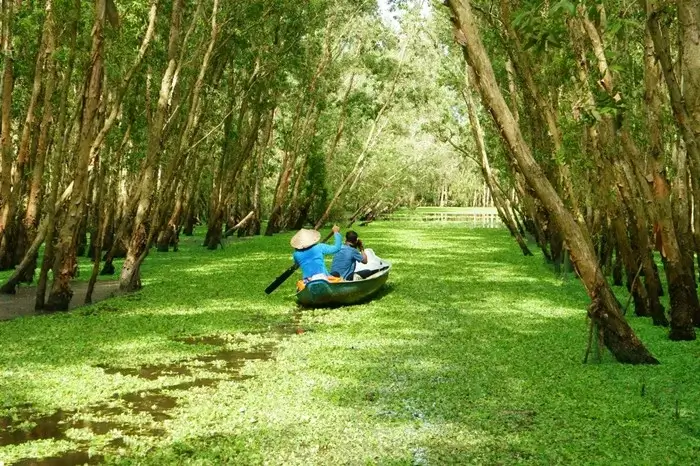 Small rowing boat gliding through duckweed-covered waters in Tra Su Cajuput Forest near Chau Doc, a peaceful place to visit in Vietnam